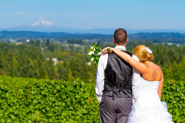 Braut und Bräutigam mit traumhafter Aussicht — Stockfoto