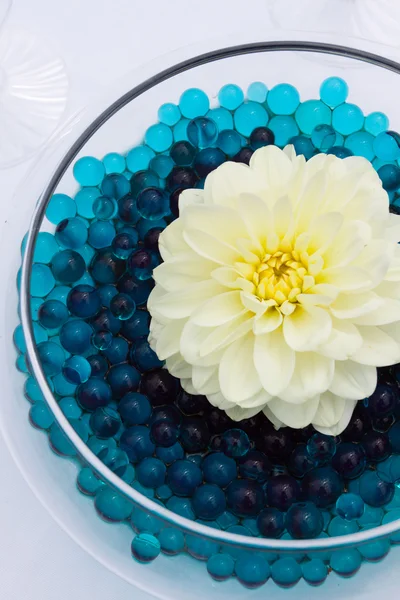 Une fleur blanche sur des gels bleus pour le décor lors d'une cérémonie de mariage . — Photo