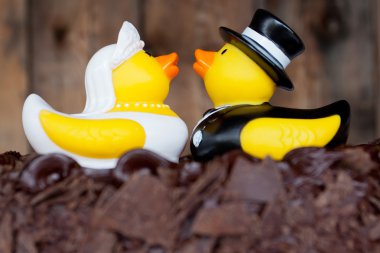 bir düğün töreni ve Resepsiyon için pasta toppers olarak çikolatalı kek üzerine oturan lastik ördek