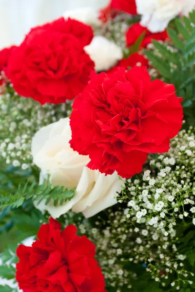 Red and White Carnations — Stock Photo, Image