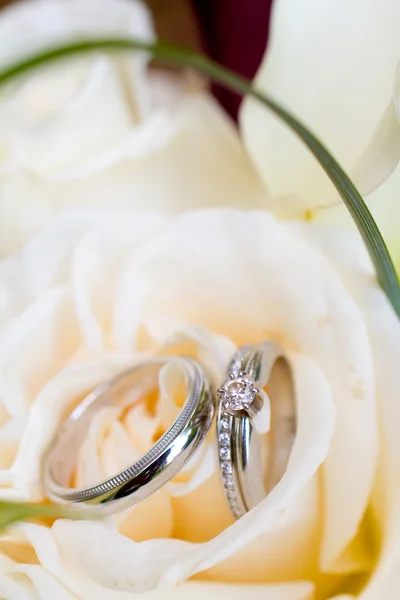 Anillos de boda —  Fotos de Stock