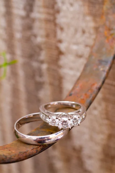 Anillos de boda — Foto de Stock