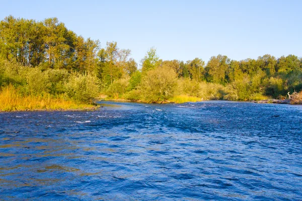 Small River Rapids — Stock Photo, Image