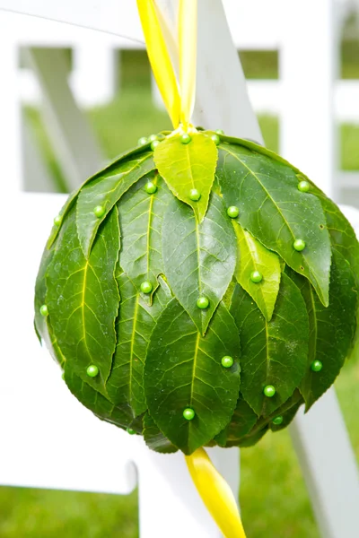 Grüne Blütenbälle — Stockfoto