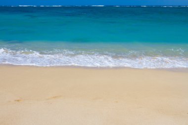 Hawaii beach paradise tatil