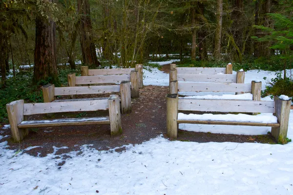 Lesní ampitheater — Stock fotografie