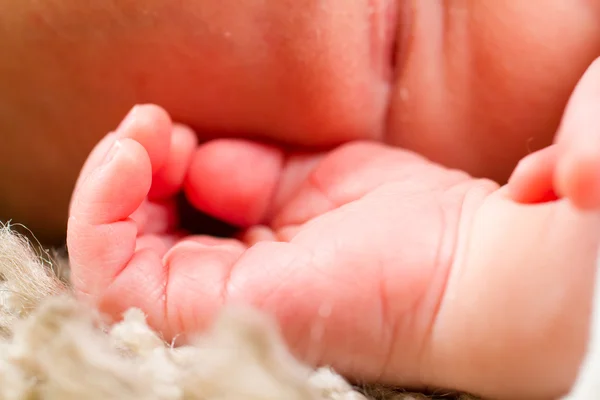 Baby hænder mens du sover - Stock-foto