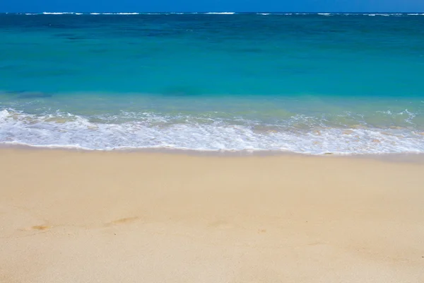 Hawaii Beach Paradise Ferie – stockfoto