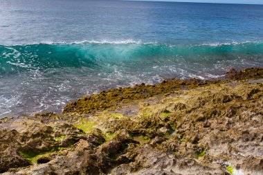 Dalgalar hawaii oahu temizleyin