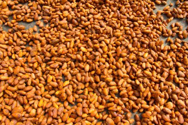 kakao nibs düzlükler üzerinde kavurma