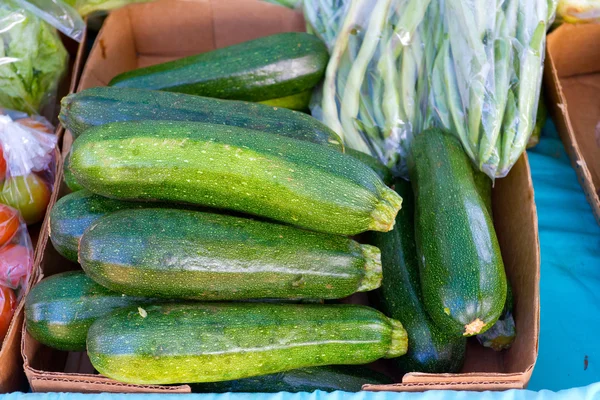 Calabacín hawaiano —  Fotos de Stock