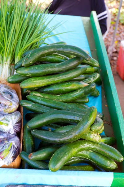 Hawaiian komkommers — Stockfoto