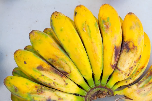 Tropiska äpple bananer — Stockfoto