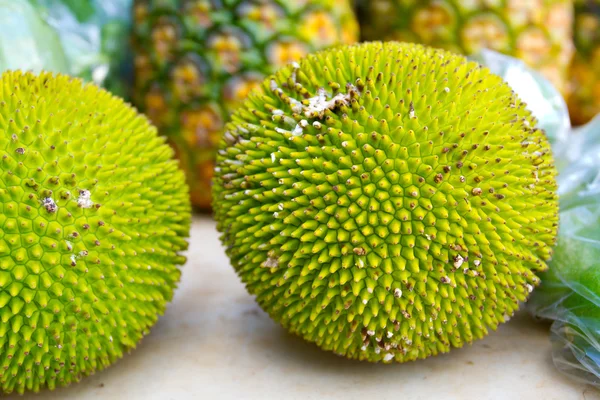 Jaca o Jakfruit o Breadfruit —  Fotos de Stock