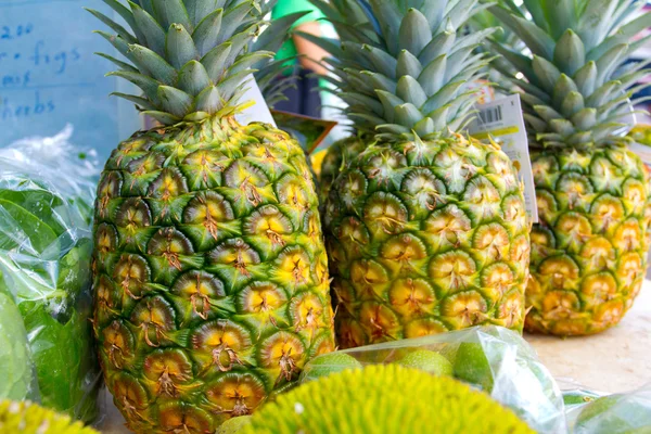 Ananas tropiska frukter — Stockfoto