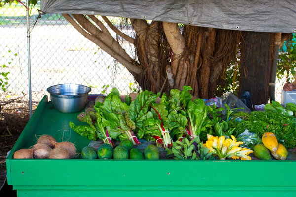 Выбор рынка для фермеров
