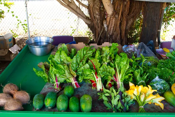 农贸市场蔬菜 — 图库照片