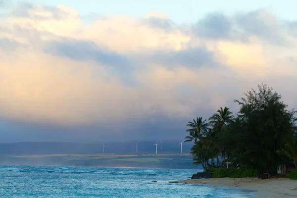 海岸に風力発電所 — ストック写真