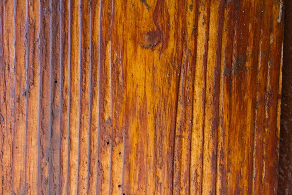 Hintergrund aus tropischem Holz — Stockfoto