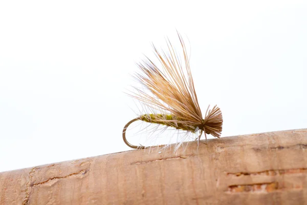 Fliegenfischen Trockenfliegenkaddis — Stockfoto
