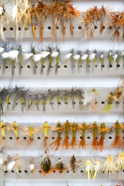 Caja de mosca Detalle Moscas secas — Foto de Stock