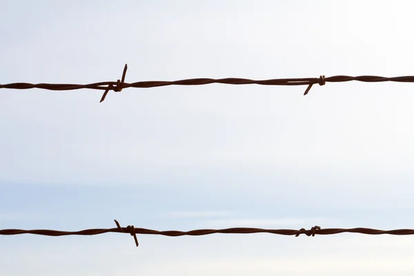 Simple Barbed Wire Abstract — Stock Photo, Image
