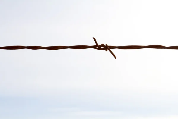 Simple Barbed Wire Abstract — Stock Photo, Image