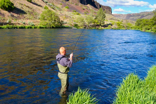 Fly Fisherman Deschutes River — Stock Photo, Image