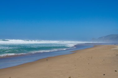 Oregon Coast Beach