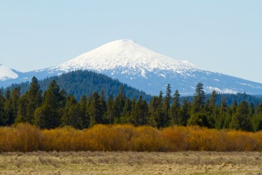 MT bachelor deschutes orman