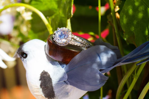 Anéis de casamento e pássaro — Fotografia de Stock