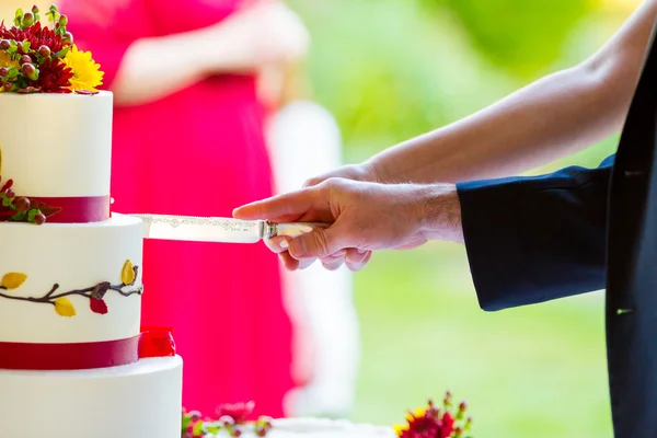 Snijden de taart bij de receptie — Stockfoto