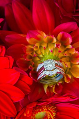 Alyans ve kırmızı çiçekler
