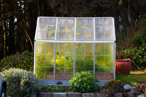 Greenhouse Garden Oregon