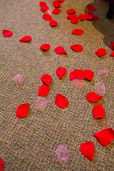 Rose Petal Wedding Aisle — Stock Photo, Image