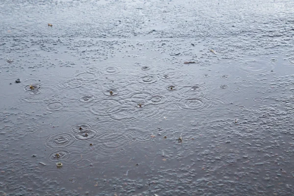 Rain Falling on Puddle — Stock Photo, Image