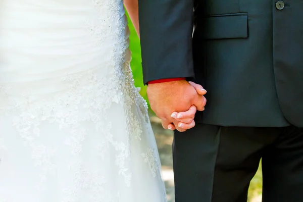 Sposo che si tiene per mano — Foto Stock