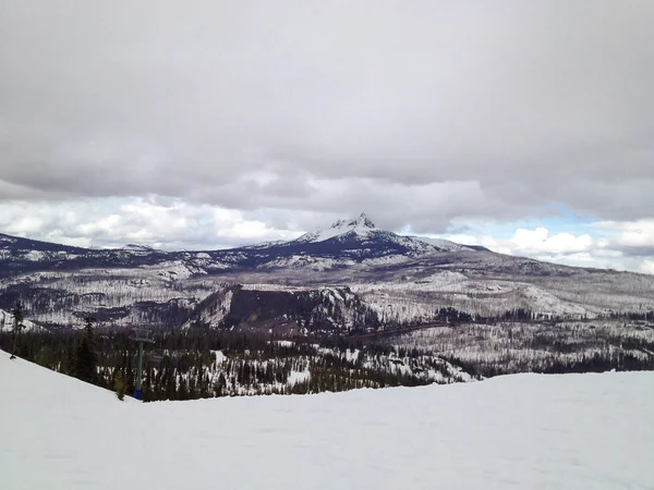 Mount jefferson en hoodoo bos — Stockfoto