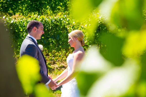 Novia y novio primera mirada — Foto de Stock