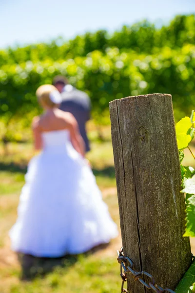 Bruid en bruidegom eerste blik — Stockfoto
