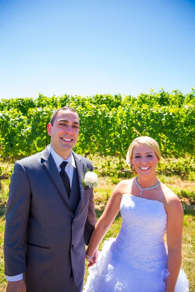 Bride and Groom Portraits — Stock Photo, Image