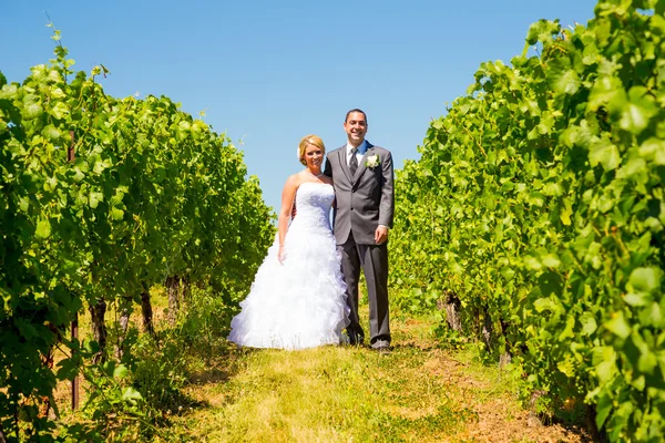 Bride and Groom Portraits — Stock Photo, Image