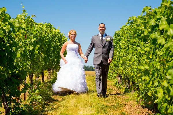 Bride and Groom Portraits — Stock Photo, Image