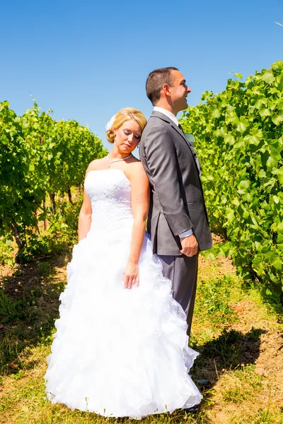 Bruden och brudgummen porträtt — Stockfoto