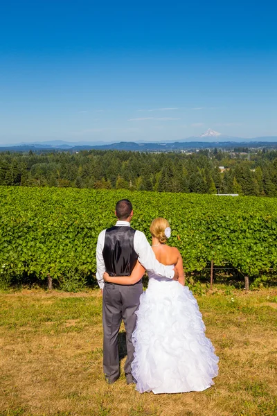 Sposa e Sposo con Vista Favolosa — Foto Stock