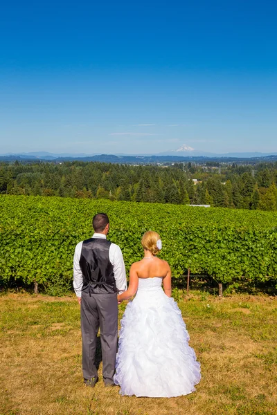 Braut und Bräutigam mit traumhafter Aussicht — Stockfoto