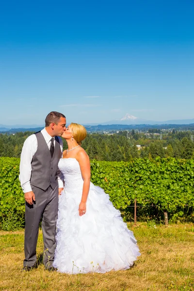 Sposa e Sposo con Vista Favolosa — Foto Stock