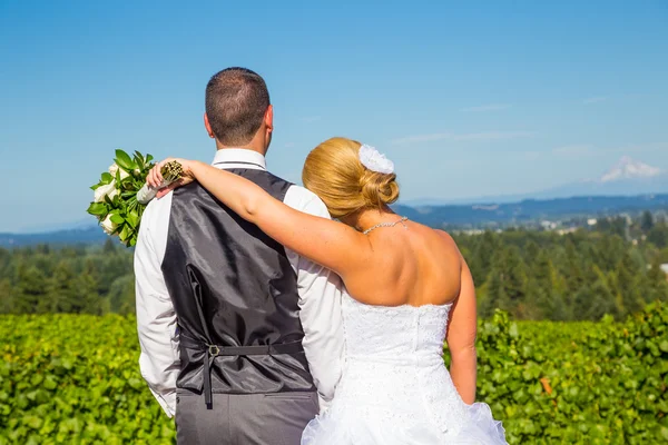 Bruden och brudgummen med fantastisk utsikt — Stockfoto