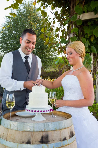 新娘和新郎切蛋糕 — 图库照片