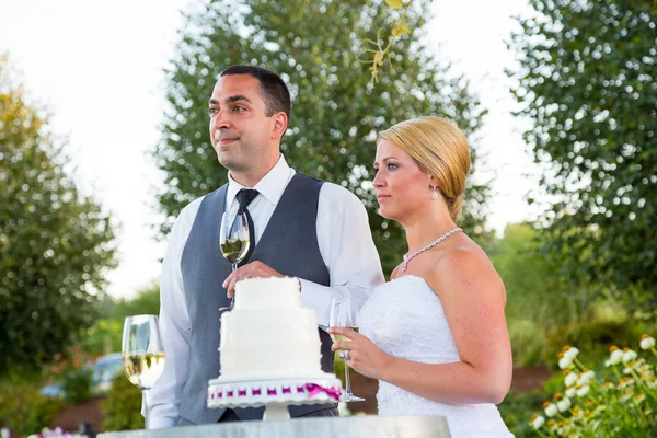 Novia y novio brindis de boda — Foto de Stock